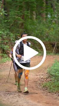 BIB:  <button type="button" onclick="openModal(26811736)" class="btn btn-primary btn-sm float-right" data-toggle="modal" data-target=".modal-high-quality">
                <i class="fa fa-download"></i> Download
                </button>